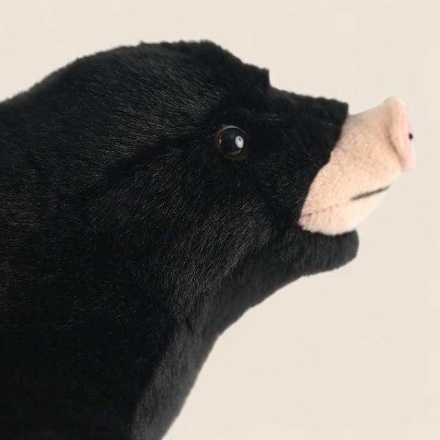 Mole Soft Stuffed Plush Toy