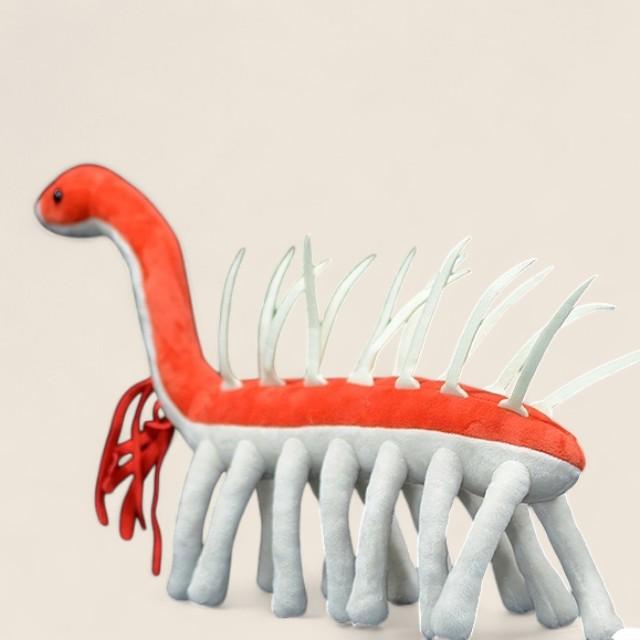 Hallucigenia Cambrian Animal Soft Stuffed Plush Toy
