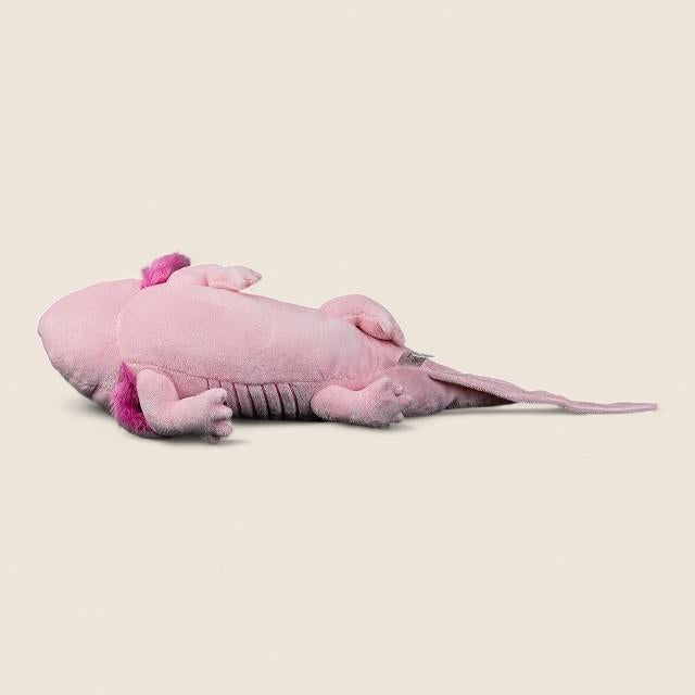 Pink Axolotl Soft Stuffed Plush Toy – Lindiwe-plushies