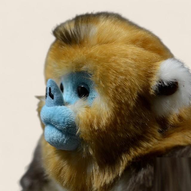 Golden Snub-Nosed Monkey Soft Stuffed Plush Toy