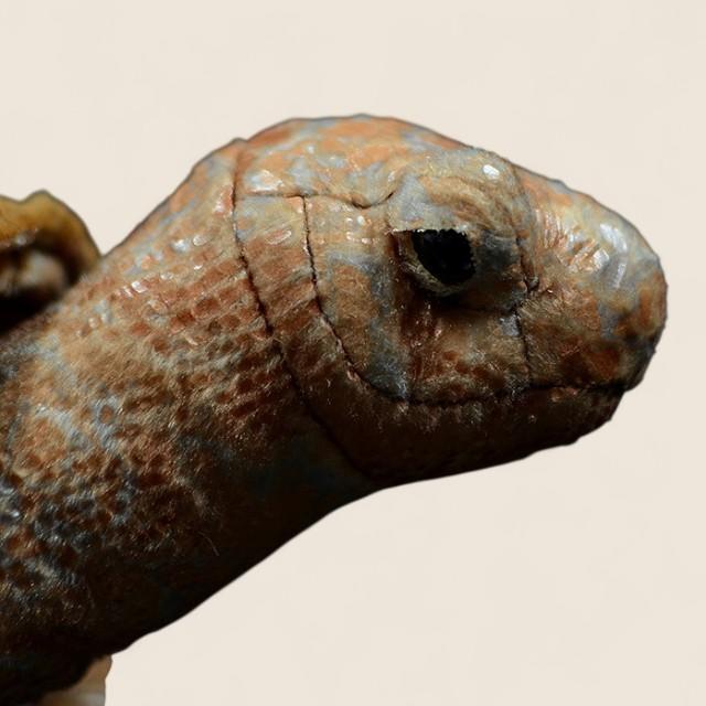 Galapagos Tortoise Soft Stuffed Plush Toy