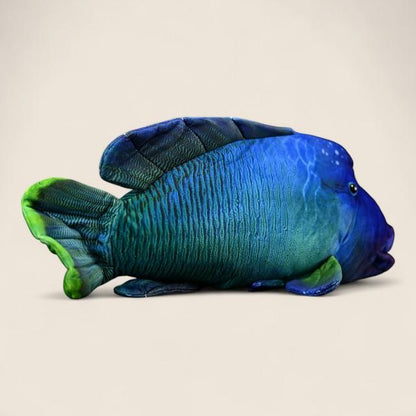 Humphead Wrasse Soft Stuffed Plush Toy
