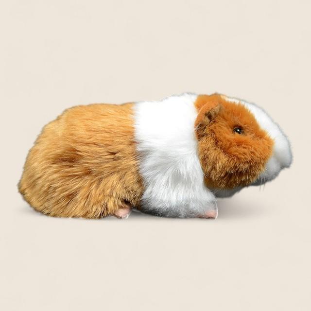 Guinea Pig Soft Stuffed Plush Toy