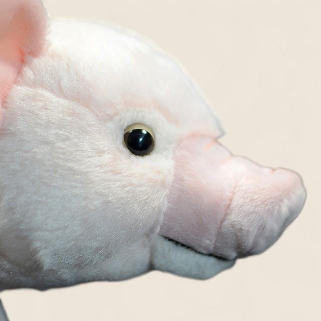 Domestic Pig Soft Stuffed Plush Toy