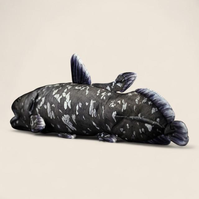 Coelacanth Soft Stuffed Plush Toy