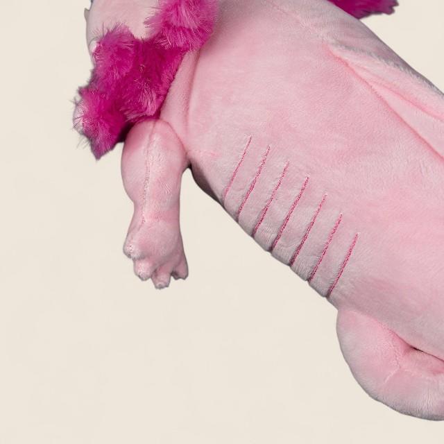 Pink Axolotl Soft Stuffed Plush Toy
