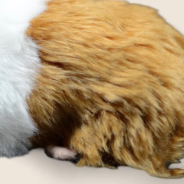 Guinea Pig Soft Stuffed Plush Toy