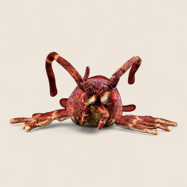 Japanese Spiny Lobster Soft Stuffed Plush Toy