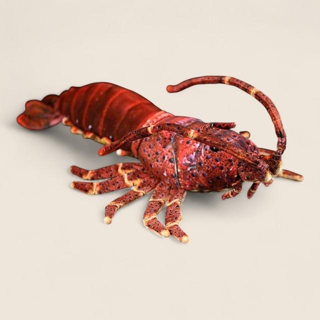 Japanese Spiny Lobster Soft Stuffed Plush Toy
