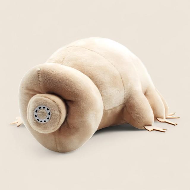 Tardigrade Water Bear Soft Stuffed Plush Toy