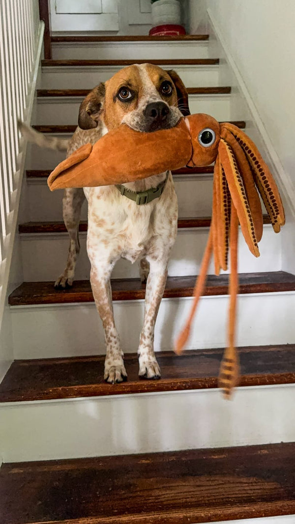 From Our Hands to Their Hearts