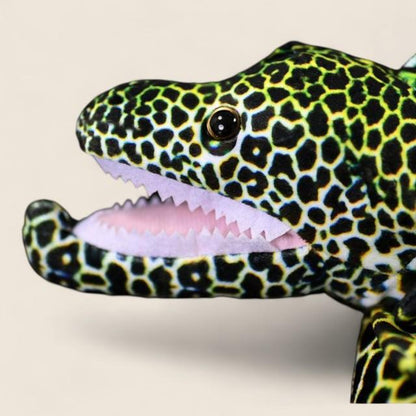 Honeycomb Moray Eel Soft Stuffed Plush Toy