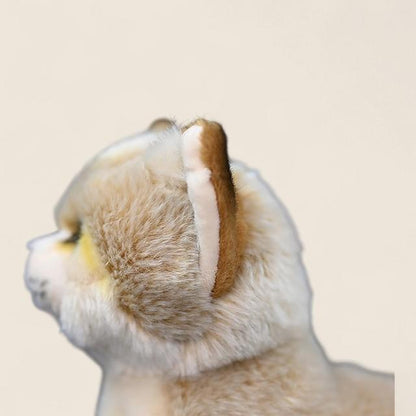 Sand Cat Soft Stuffed Plush Toy