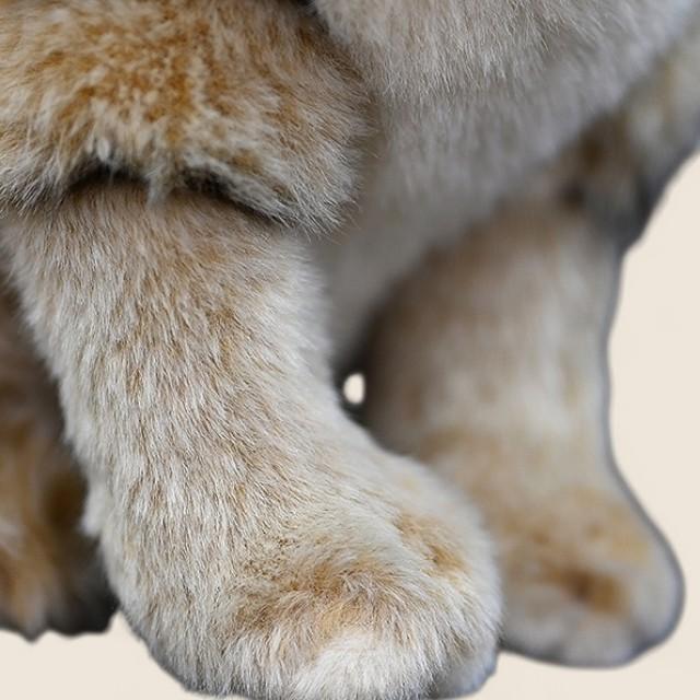 Sand Cat Soft Stuffed Plush Toy