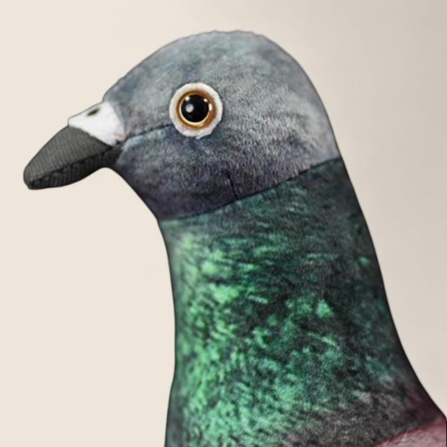 Common Pigeon Bird Soft Stuffed Plush Toy