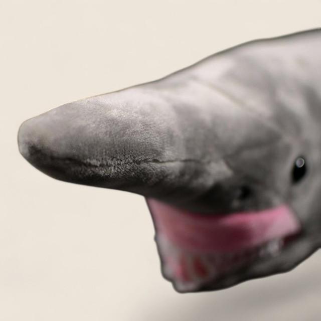 Goblin Shark Soft Stuffed Plush Toy