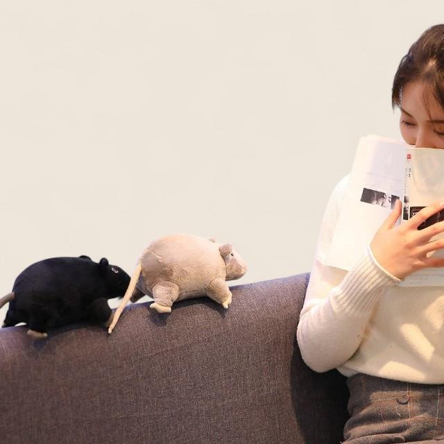 Mouse Rat Soft Stuffed Plush Toy
