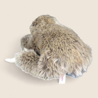 Sloth Soft Stuffed Plush Toy