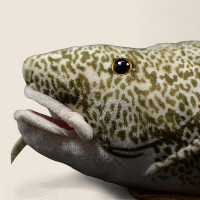 Atlantic Cod Soft Stuffed Plush Toy