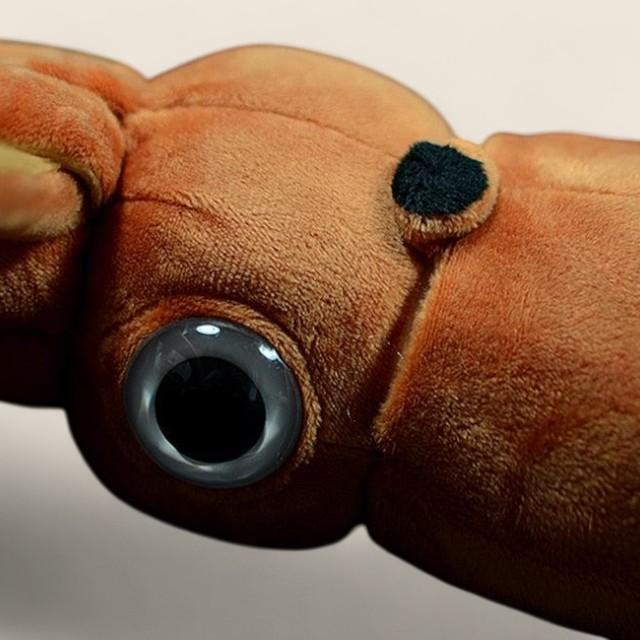 Architeuthis Giant Squid Soft Stuffed Plush Toy