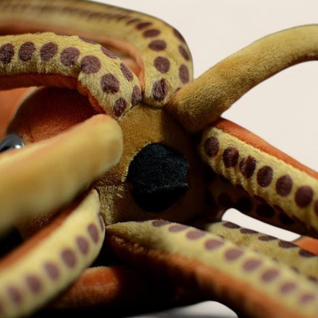 Architeuthis Giant Squid Soft Stuffed Plush Toy