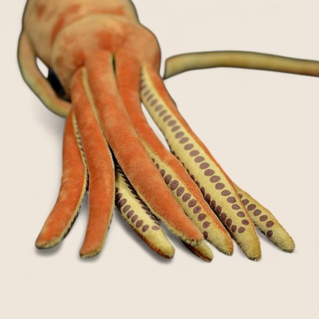 Architeuthis Giant Squid Soft Stuffed Plush Toy