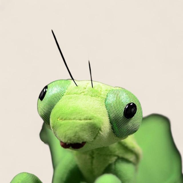 Green Chinese Mantis Soft Stuffed Plush Toy