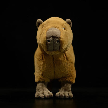 Capybara Soft Stuffed Plush Toy