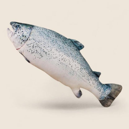 Salmon Fish Soft Stuffed Plush Pillow Toy